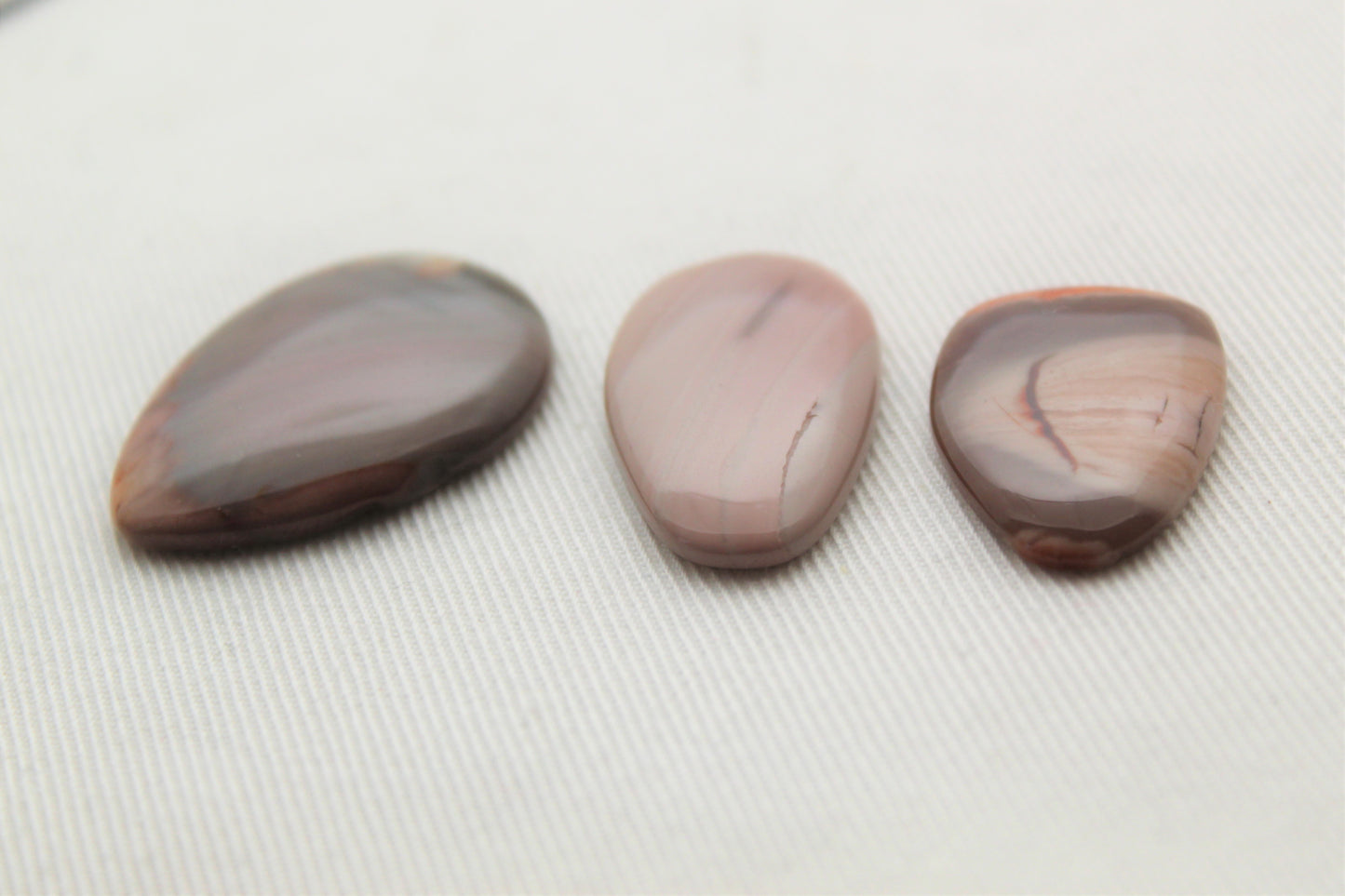 Fossil Palmwood Pair Cabochon Gemstone with druzy pockets Oval