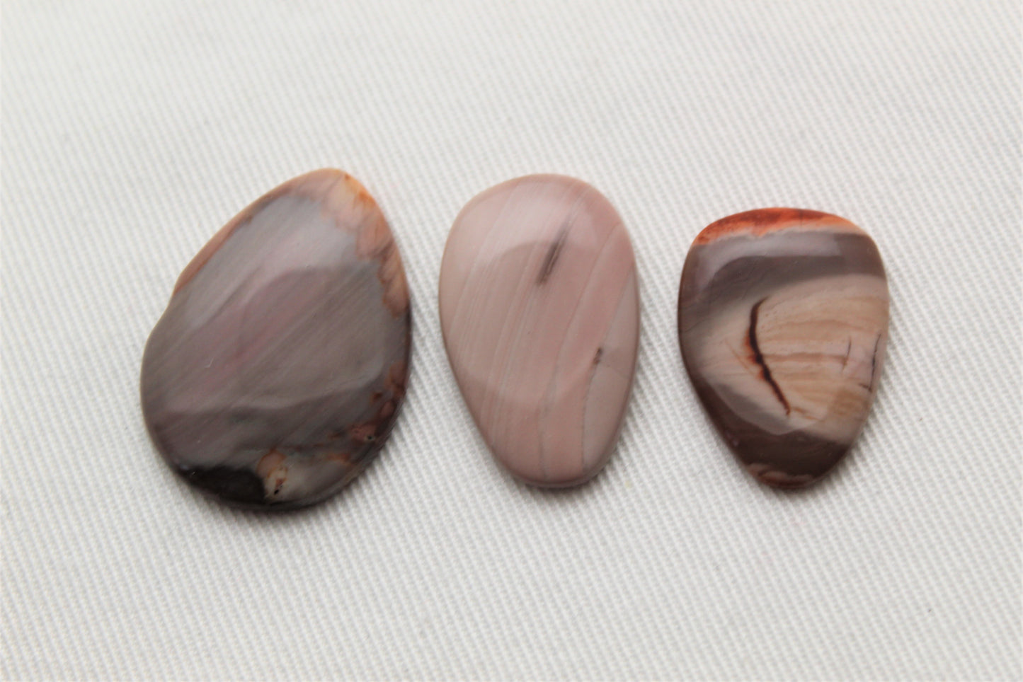 Fossil Palmwood Pair Cabochon Gemstone with druzy pockets Oval