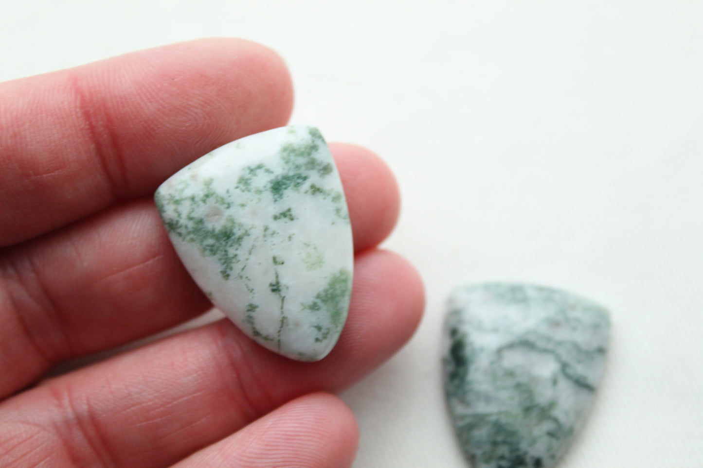 TWO Tree Agate Cabochon green white shield shape gemstone