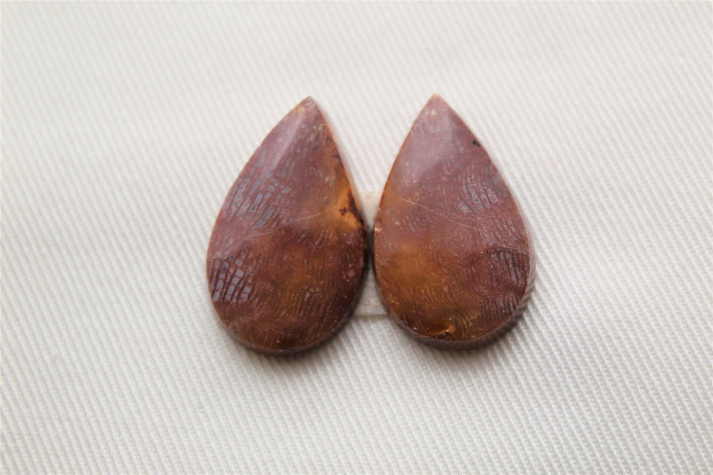 Pink Fossil Coral Pair of Gemstones cabochon