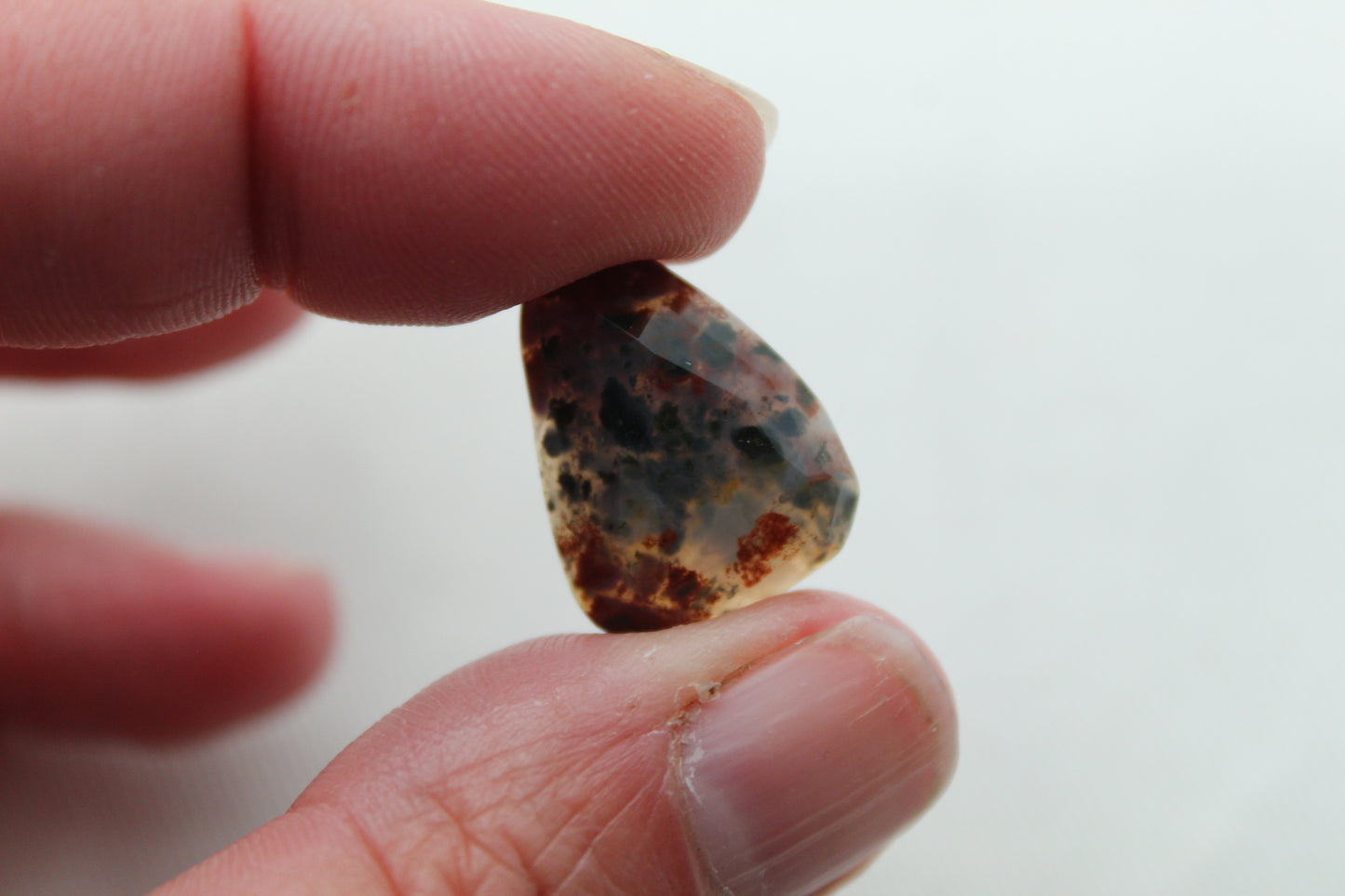 Fossil Palmwood Pair Cabochon Gemstone with druzy pockets Oval