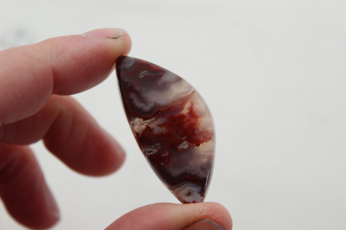 Fossil Palmwood Pair Cabochon Gemstone with druzy pockets Oval