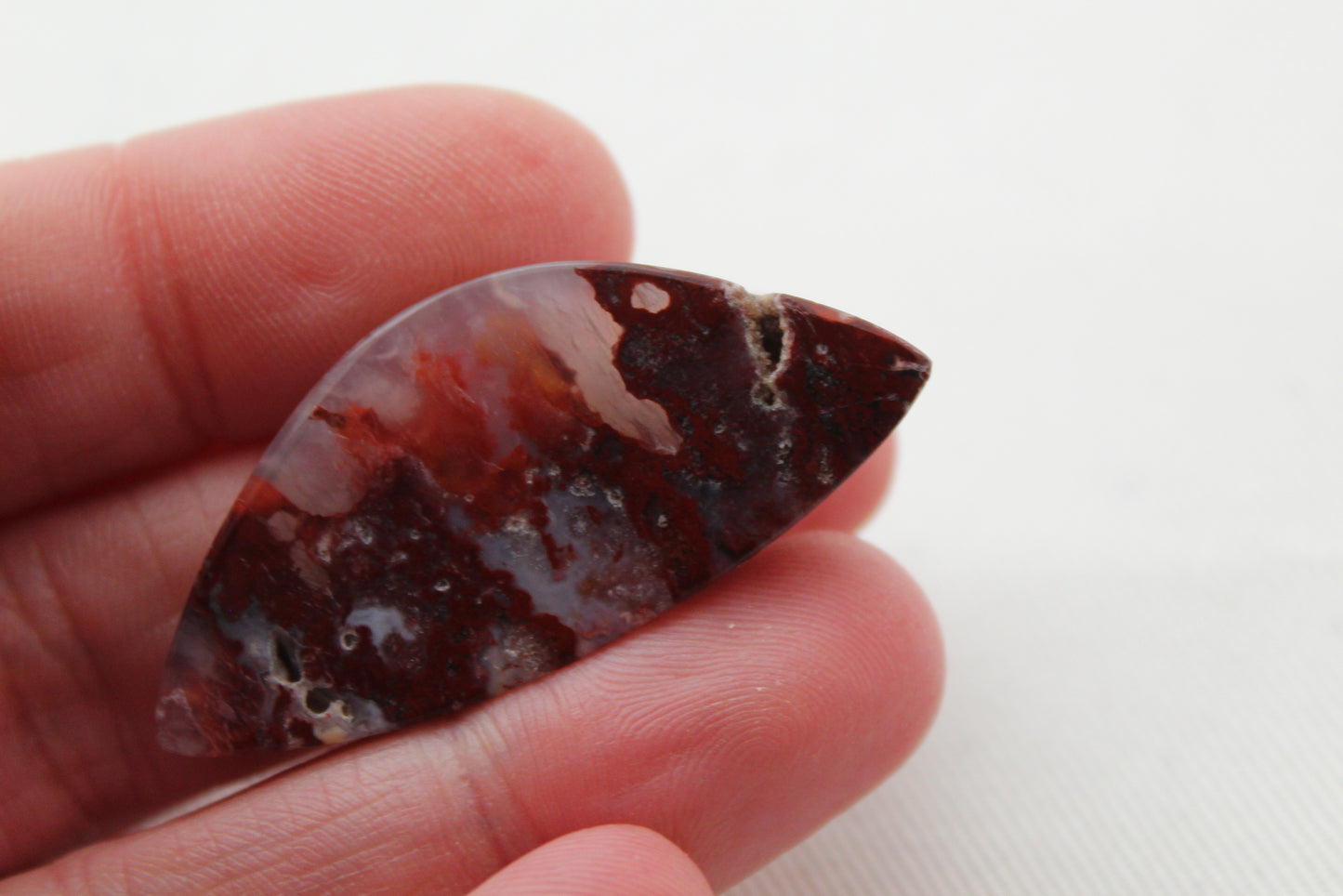 Fossil Palmwood Pair Cabochon Gemstone with druzy pockets Oval