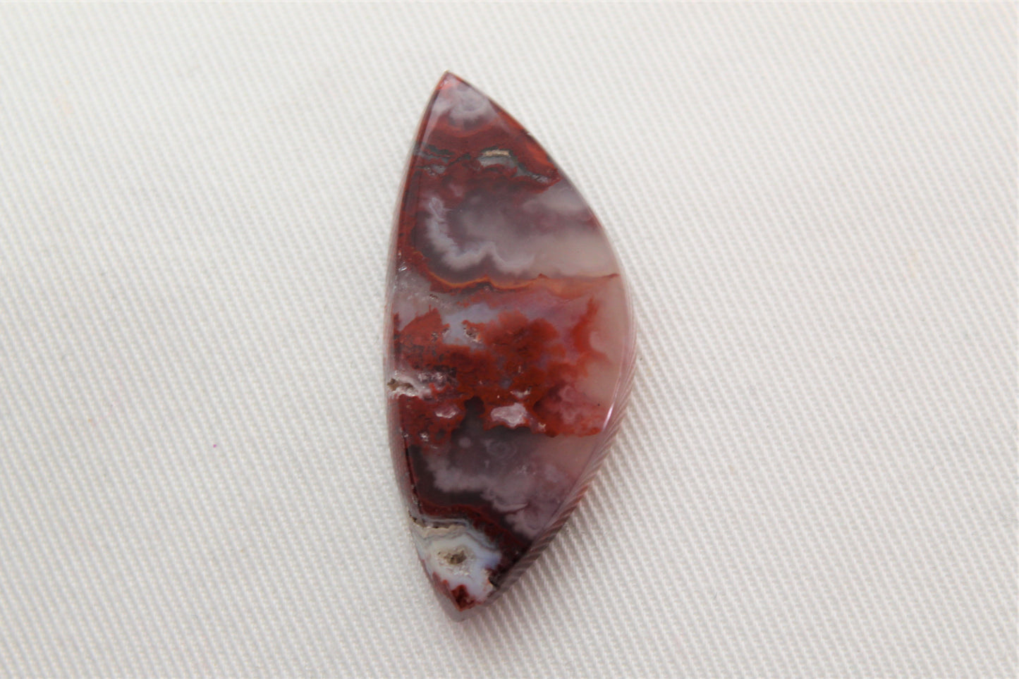 Fossil Palmwood Pair Cabochon Gemstone with druzy pockets Oval