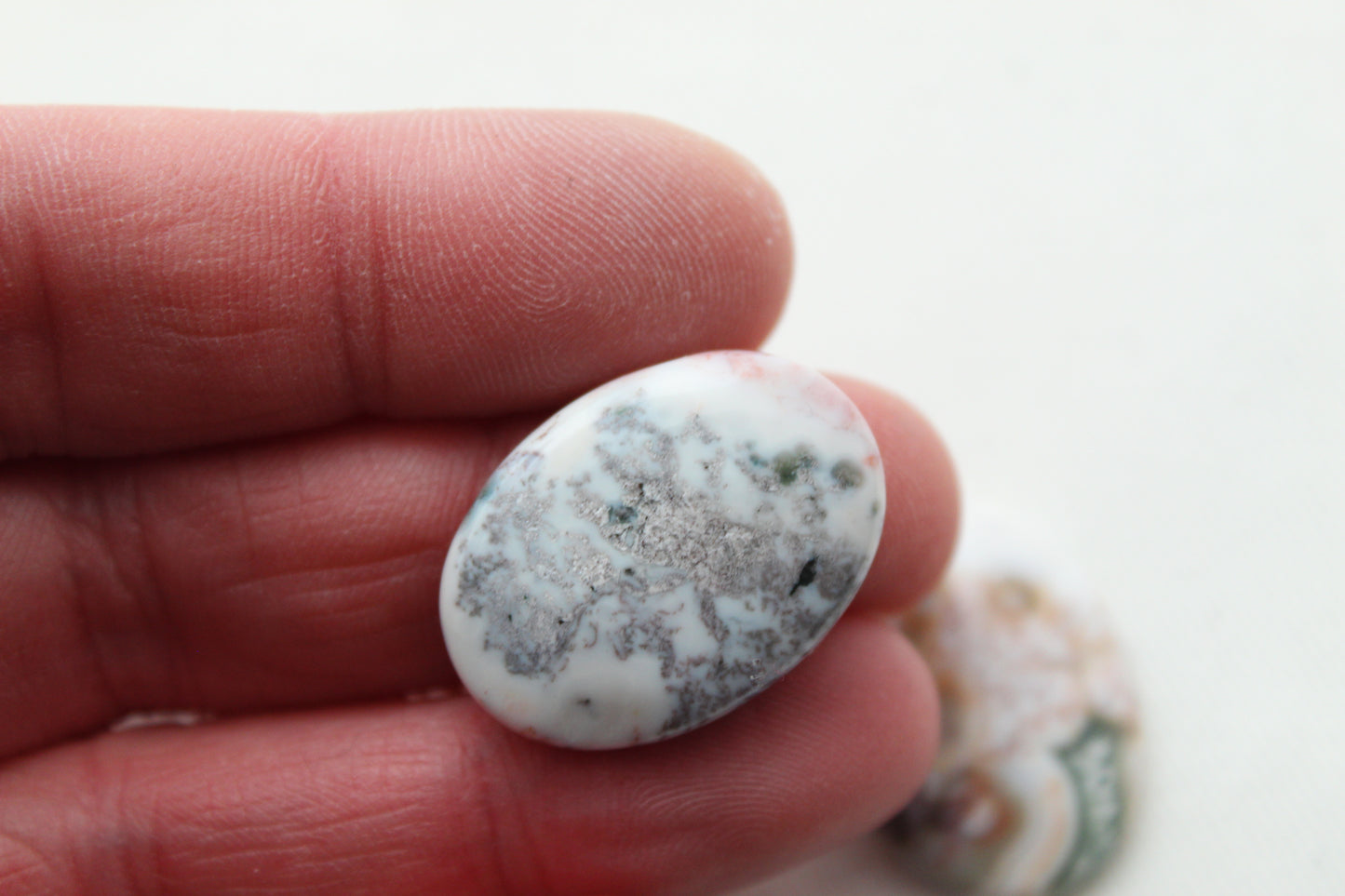 Fossil Palmwood Pair Cabochon Gemstone with druzy pockets Oval