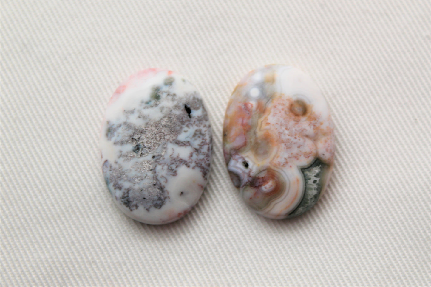 Fossil Palmwood Pair Cabochon Gemstone with druzy pockets Oval