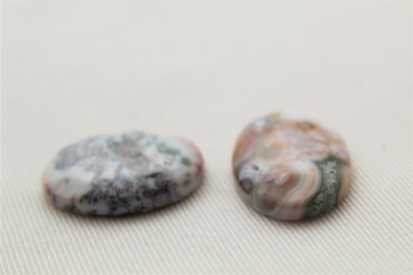 Fossil Palmwood Pair Cabochon Gemstone with druzy pockets Oval