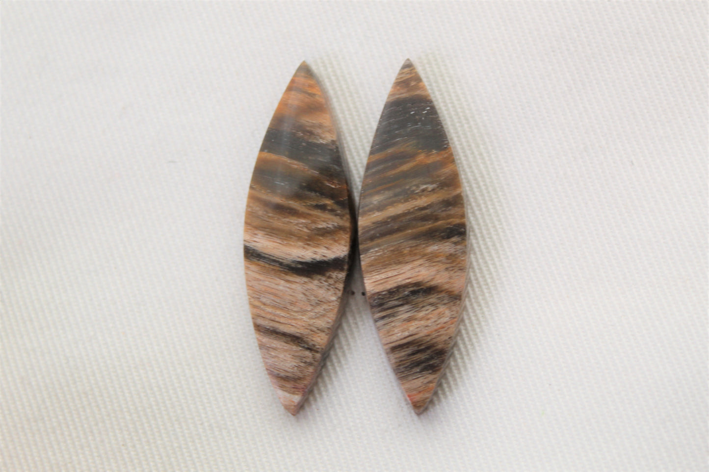 Nice pair of Petrified Wood Cabochons marquise