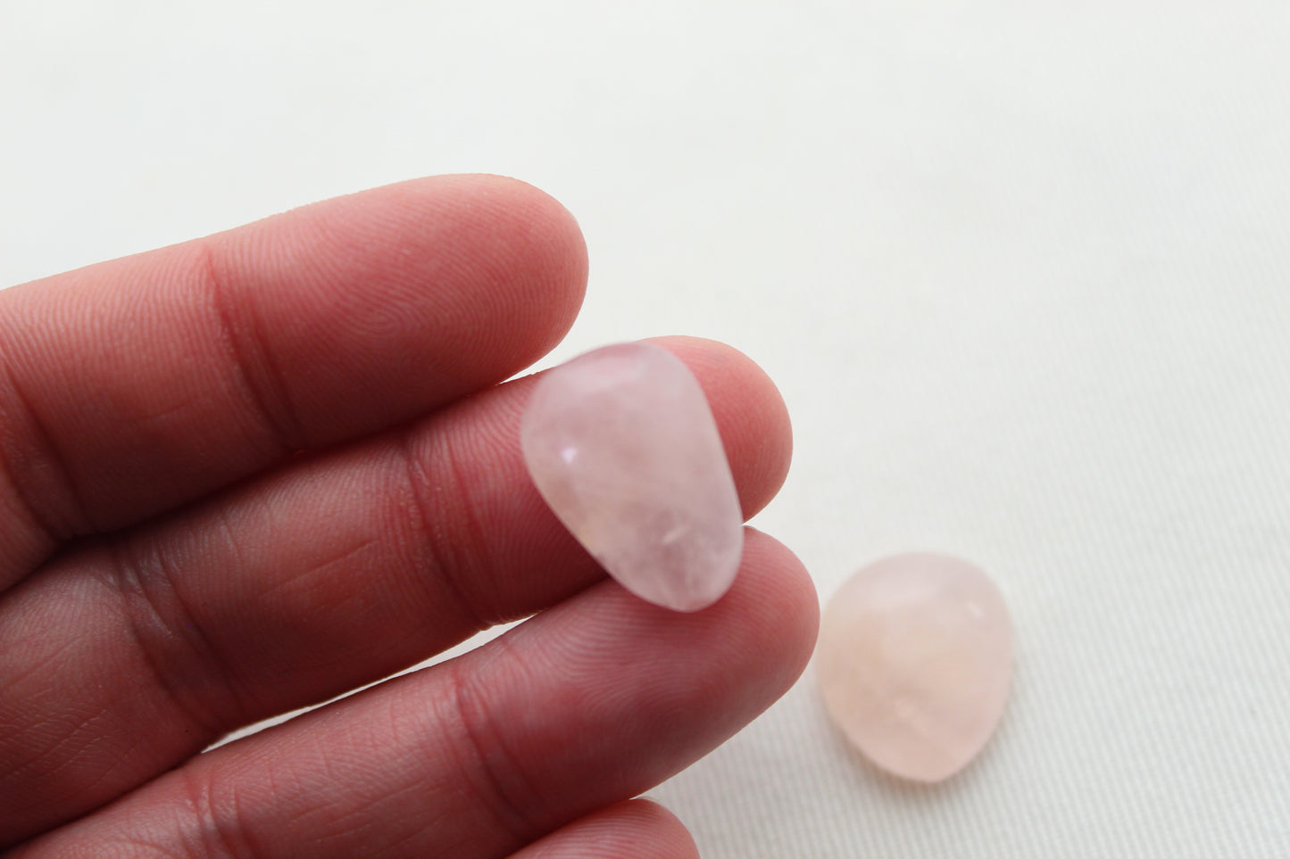 Fossil Palmwood Pair Cabochon Gemstone with druzy pockets Oval