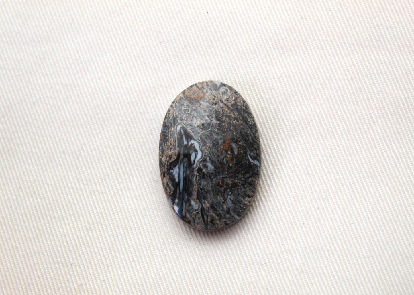 Petrified Palmwood Gemstone Oval