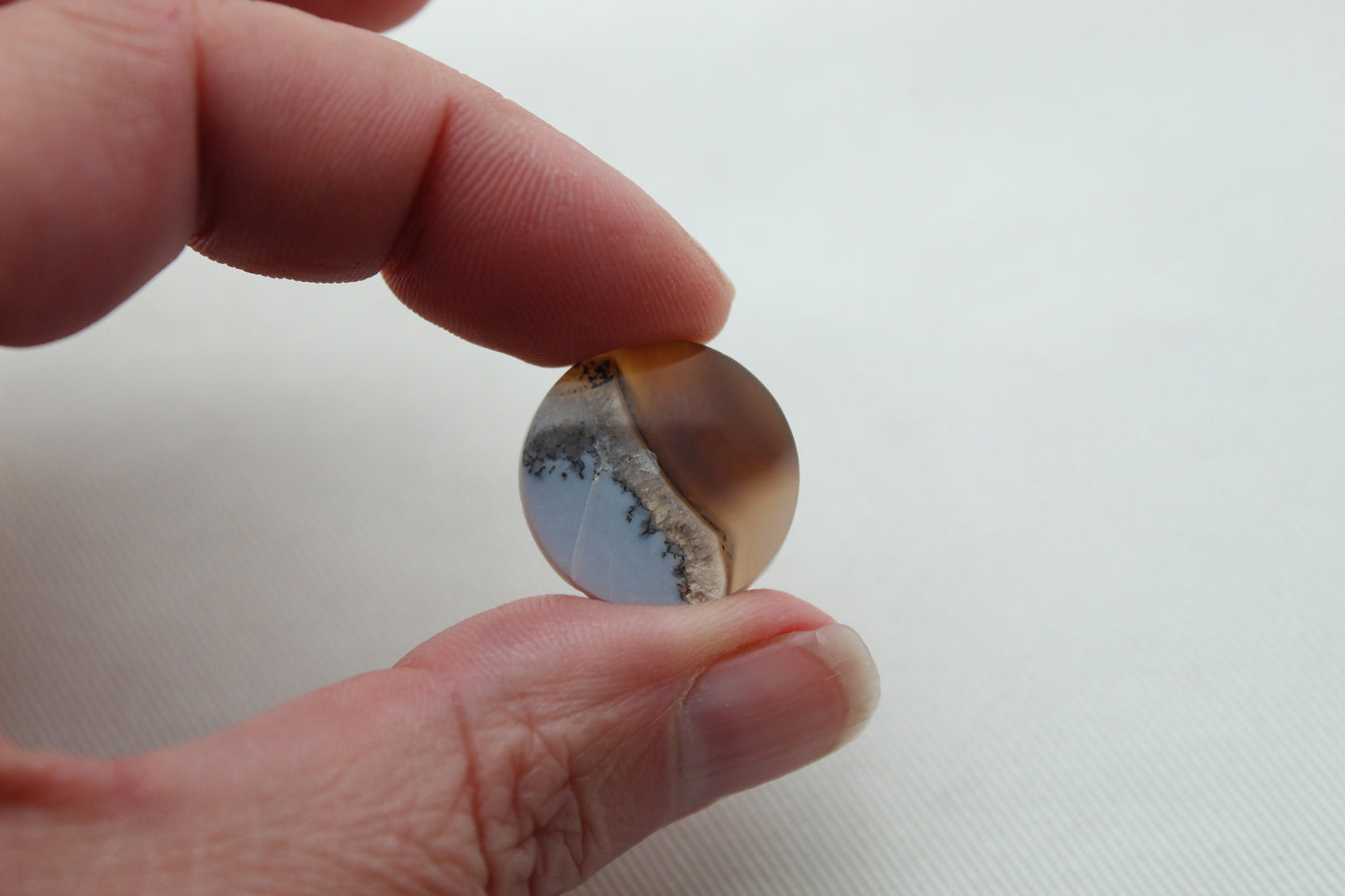 Fossil Palmwood Pair Cabochon Gemstone with druzy pockets Oval