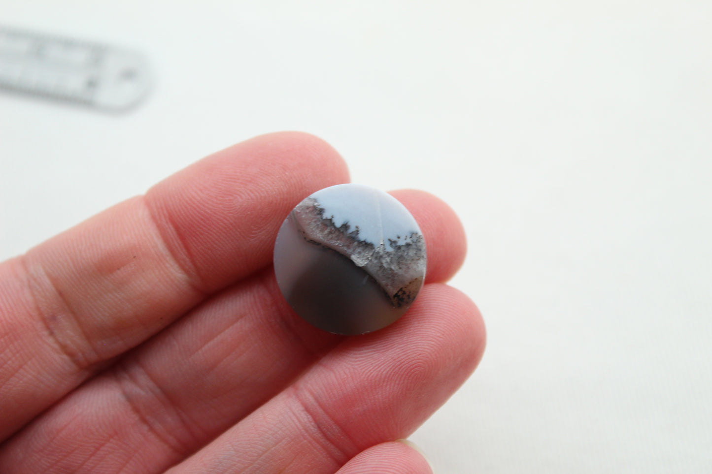 Fossil Palmwood Pair Cabochon Gemstone with druzy pockets Oval