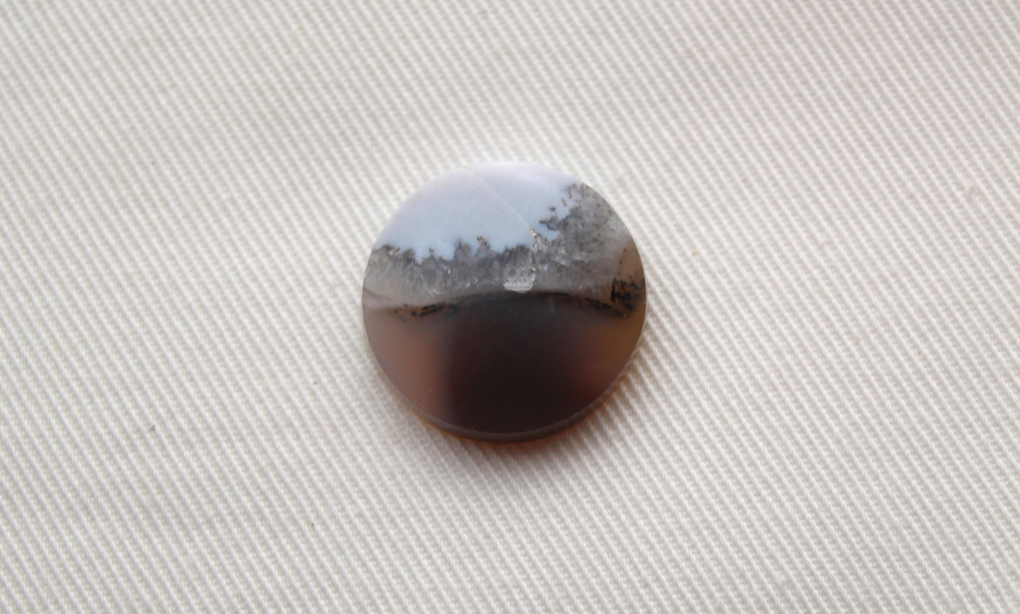 Fossil Palmwood Pair Cabochon Gemstone with druzy pockets Oval