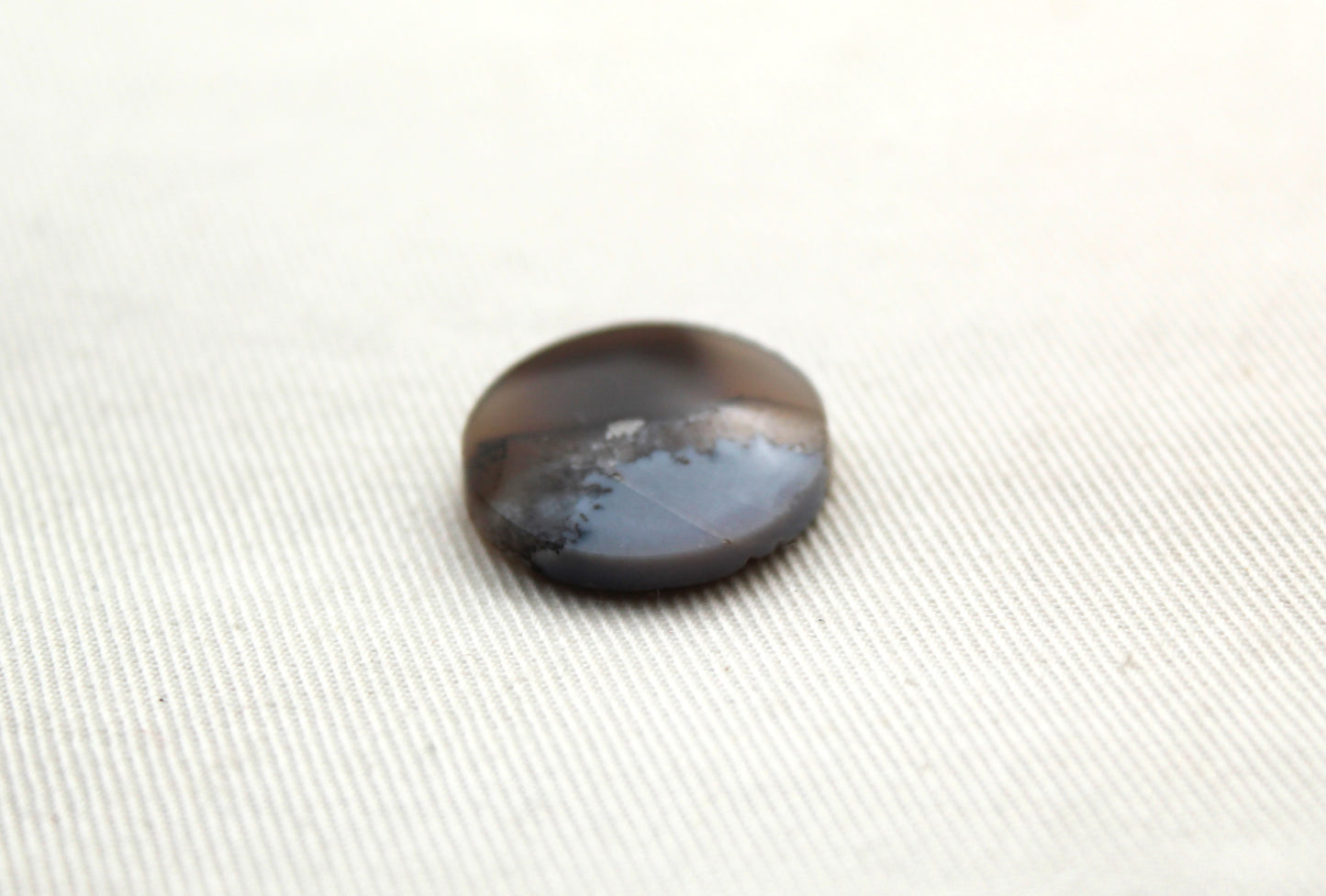 Fossil Palmwood Pair Cabochon Gemstone with druzy pockets Oval