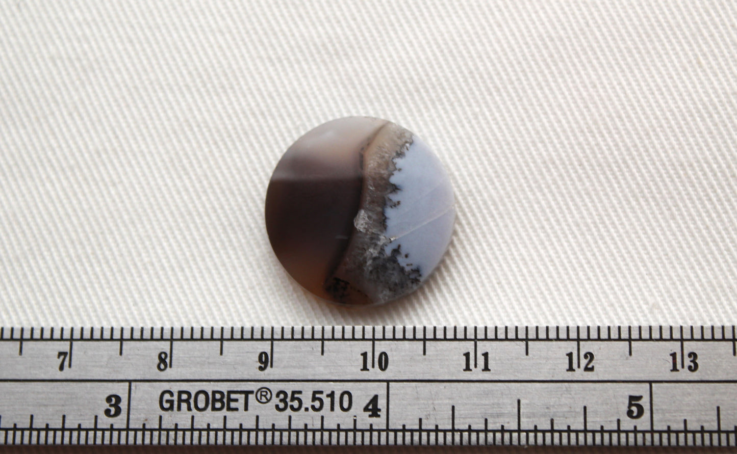 Fossil Palmwood Pair Cabochon Gemstone with druzy pockets Oval