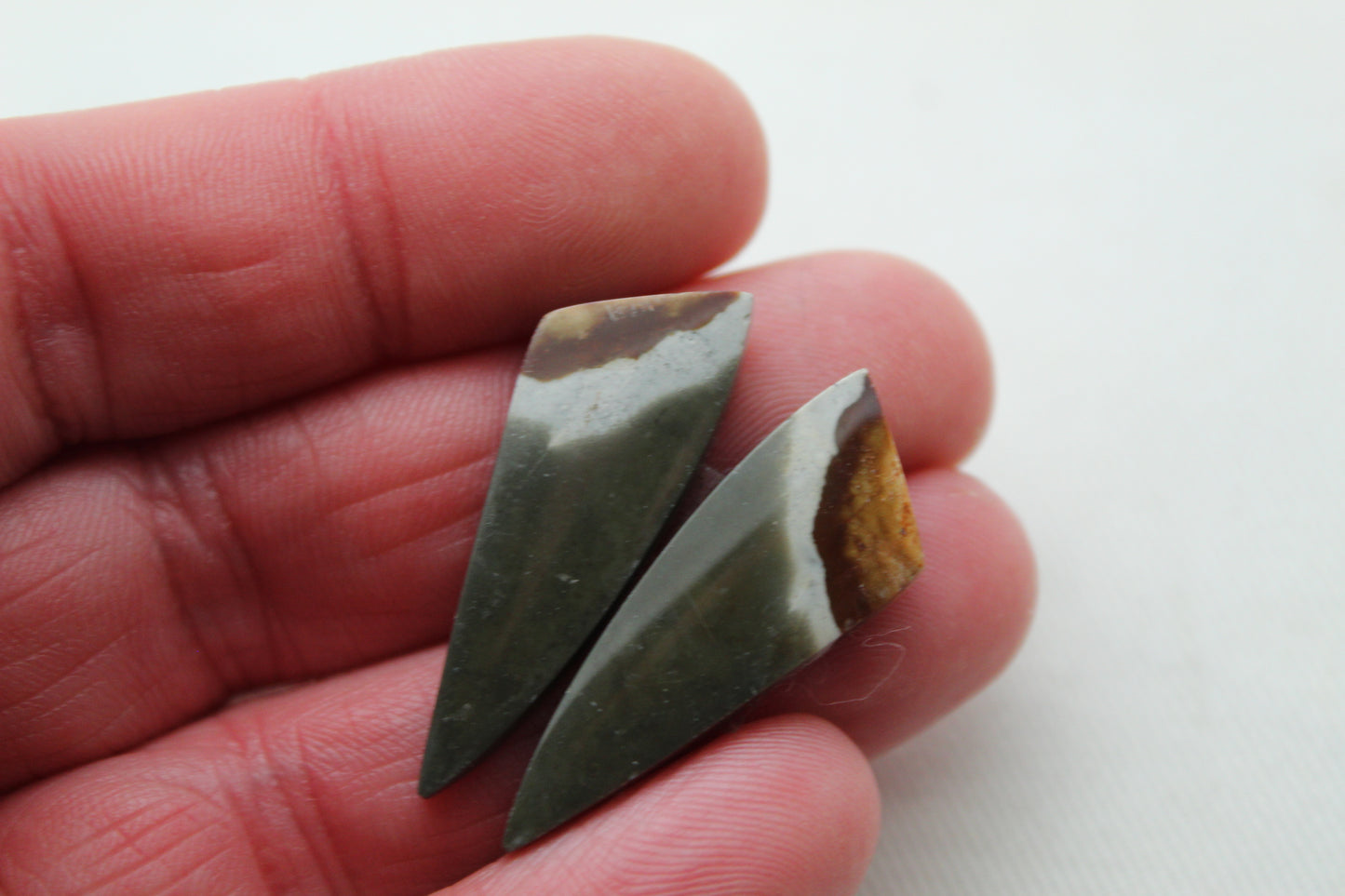 Matching pair of polychrome Jasper Cabochons