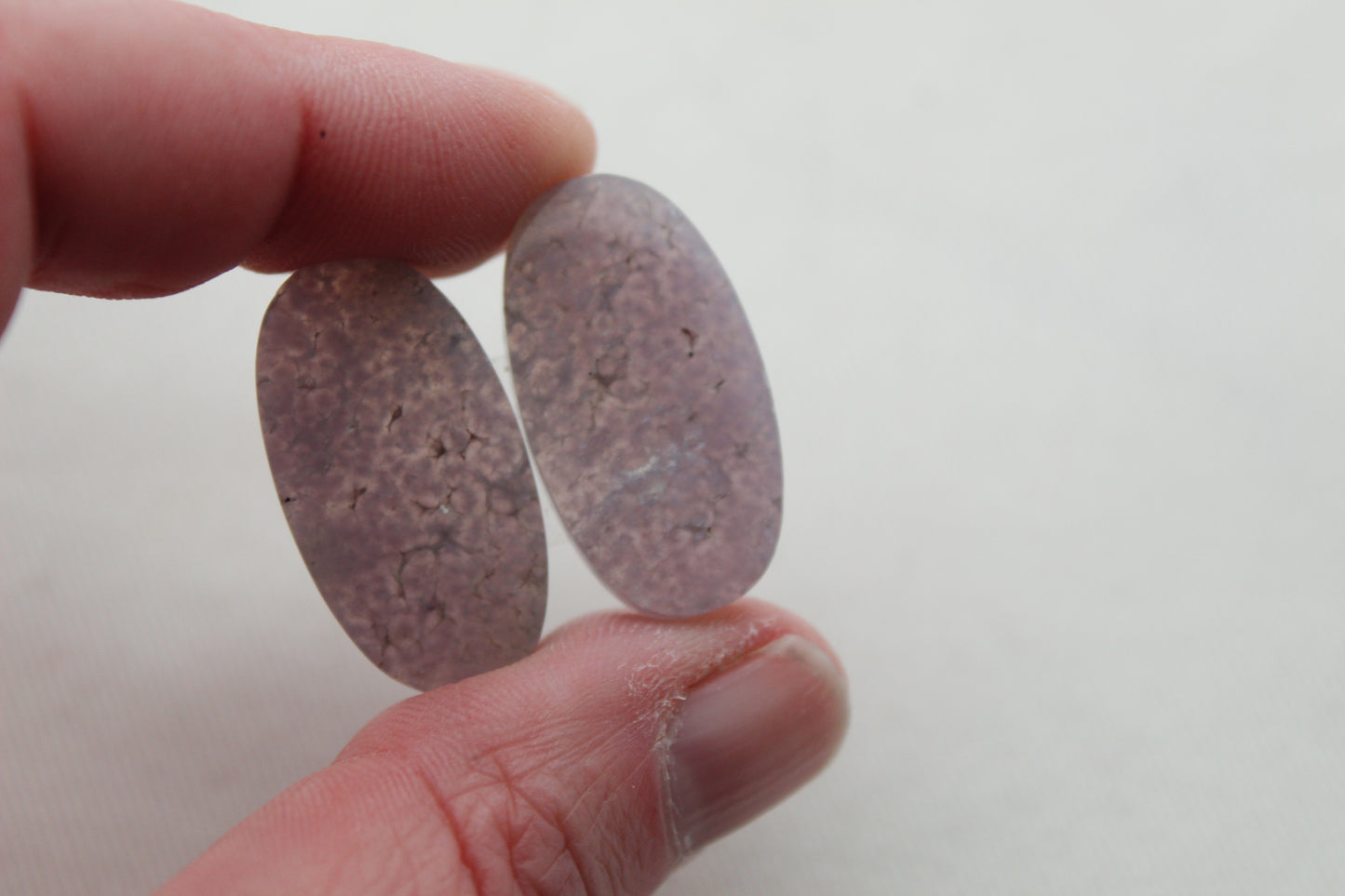 Fossil Palmwood Pair Cabochon Gemstone with druzy pockets Oval