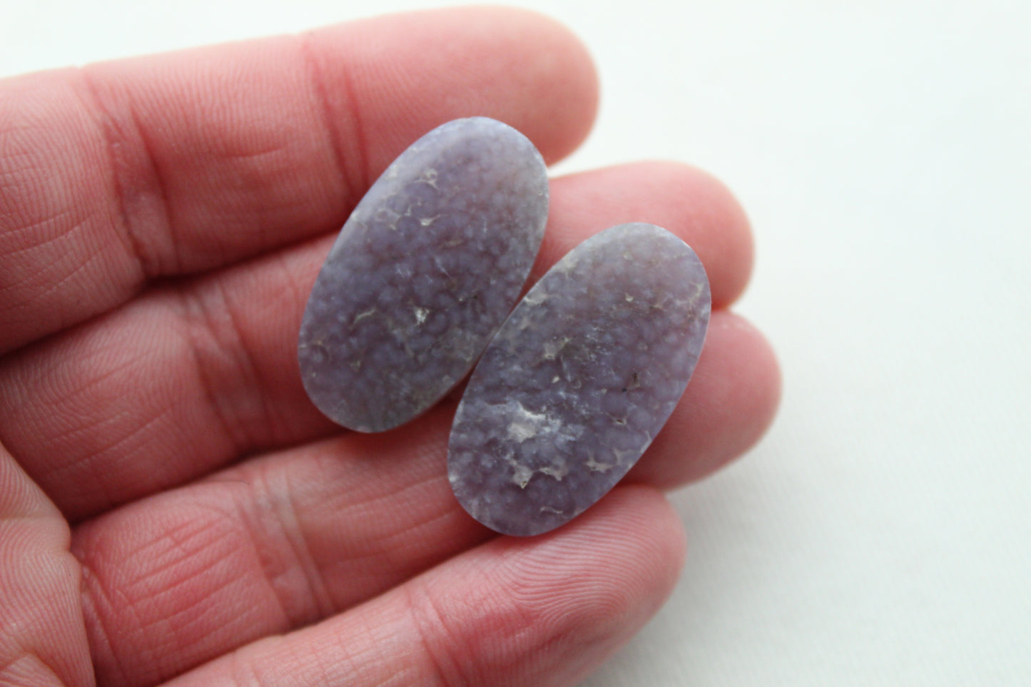 Fossil Palmwood Pair Cabochon Gemstone with druzy pockets Oval