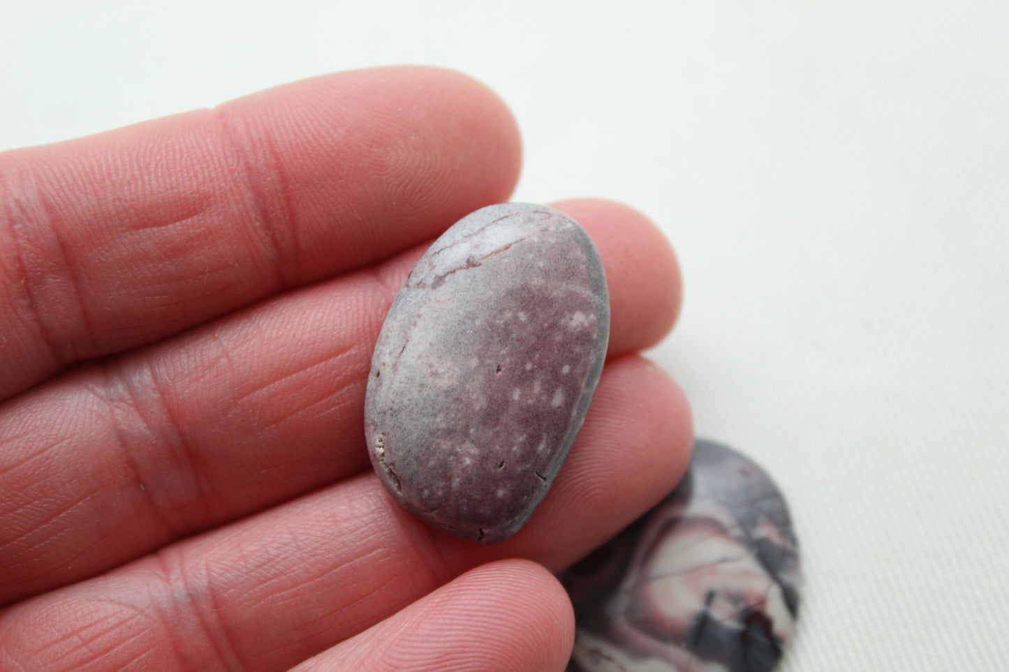 Fossil Palmwood Pair Cabochon Gemstone with druzy pockets Oval