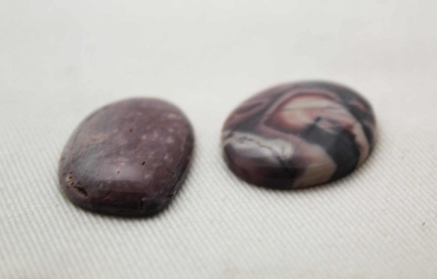 Fossil Palmwood Pair Cabochon Gemstone with druzy pockets Oval