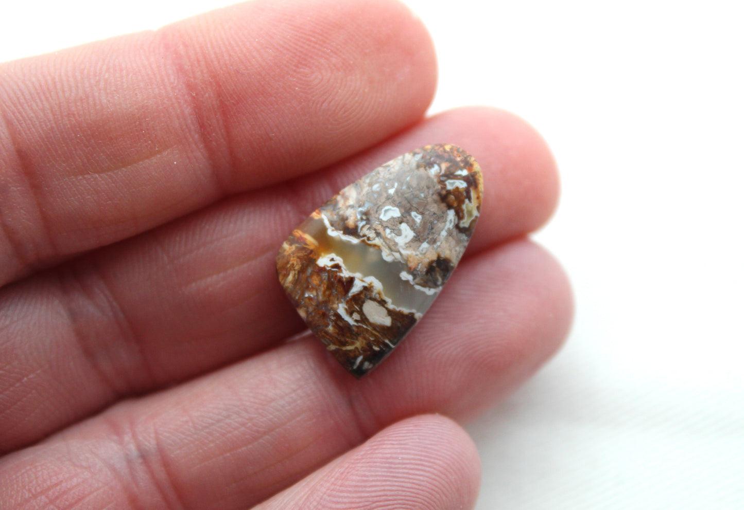 Small Petrified Palm Wood Cabochon Pair