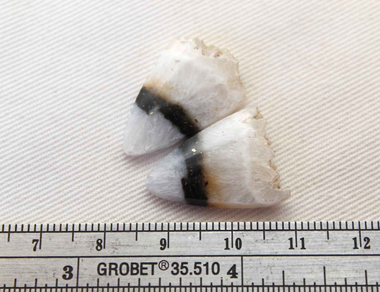 Crystal Zebra Cabochons Pair with Druzy Edges