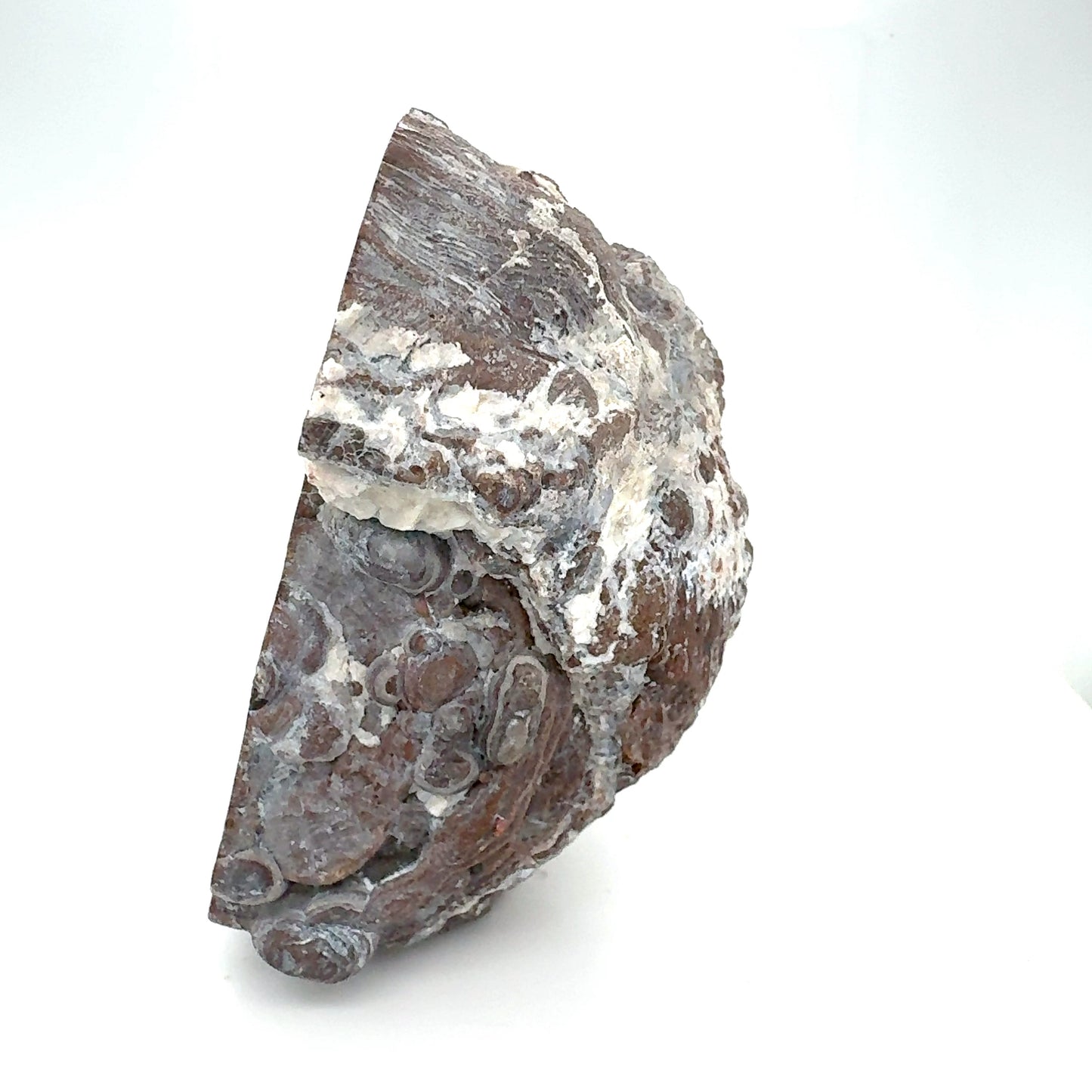 Thunder egg fluorescent Nodule polished Half nodule