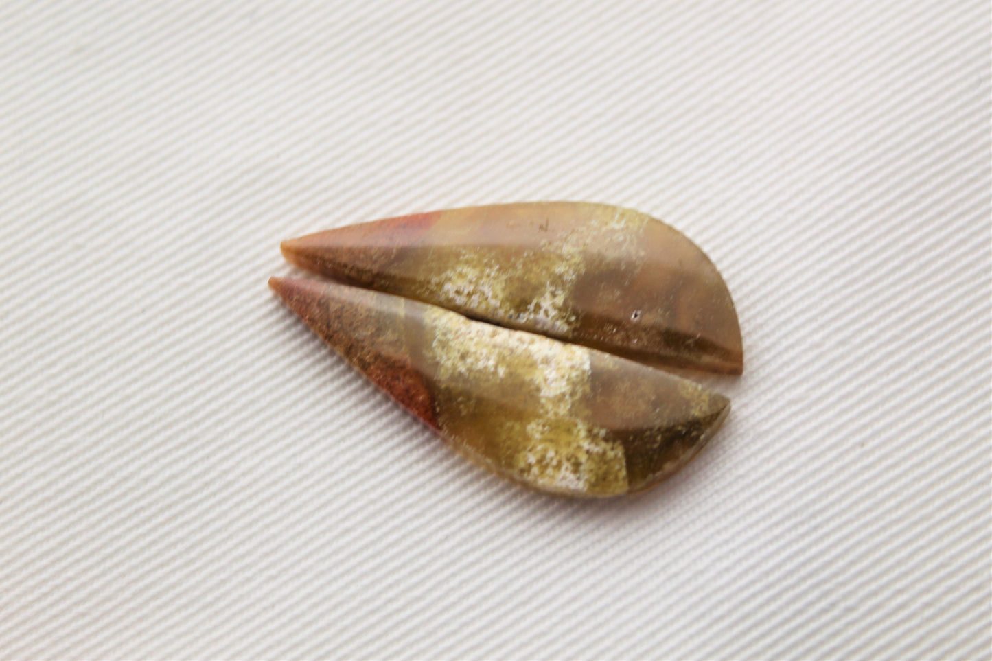 Opalized Petrified Wood Cabochon Pair beige green gemstone