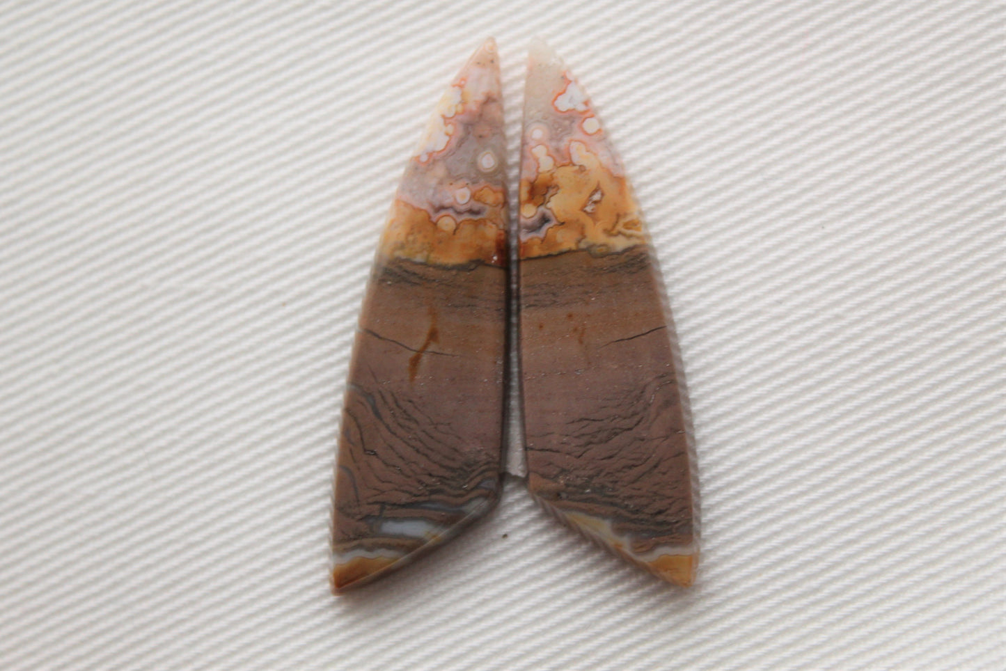 Copie de Orbicular Jasper cabochon Pair Gemstones brown