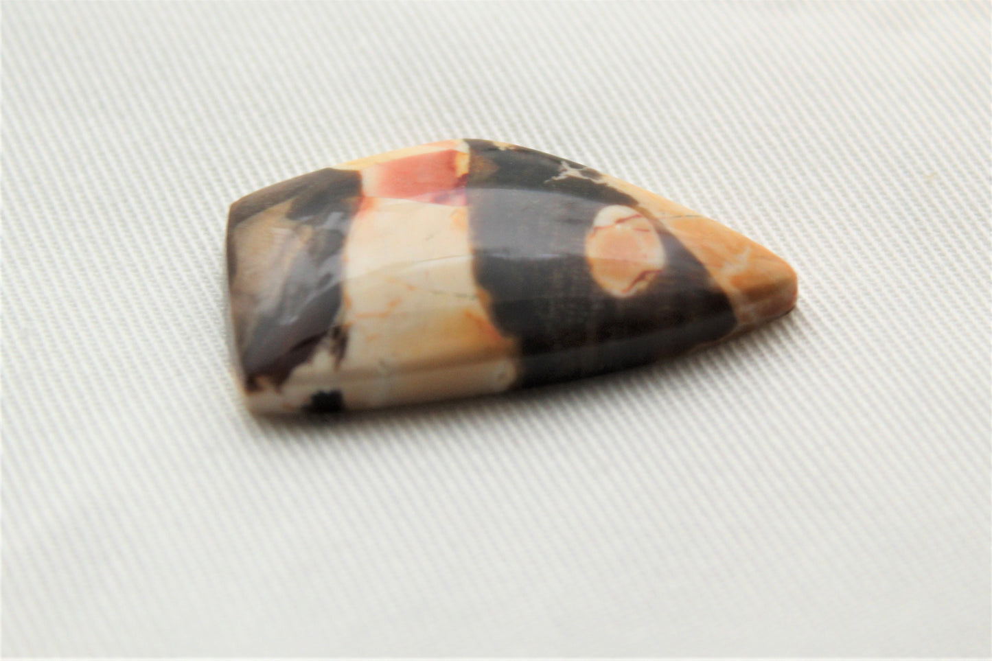 Peanut wood Cabochon freeform gemstone