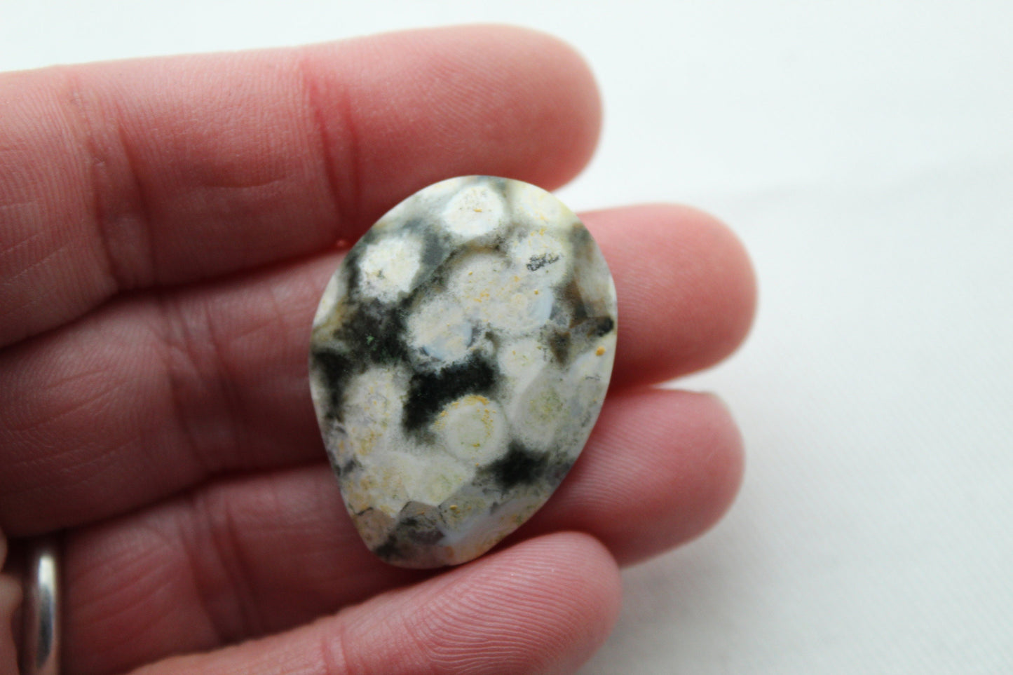 Large Rose cut Ocean Jasper Cabochon Gemstone freeform green