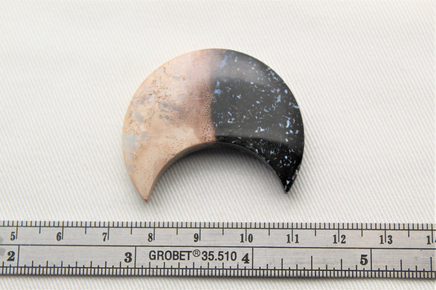 One Petrified Palm wood Cabochon Moon crescent