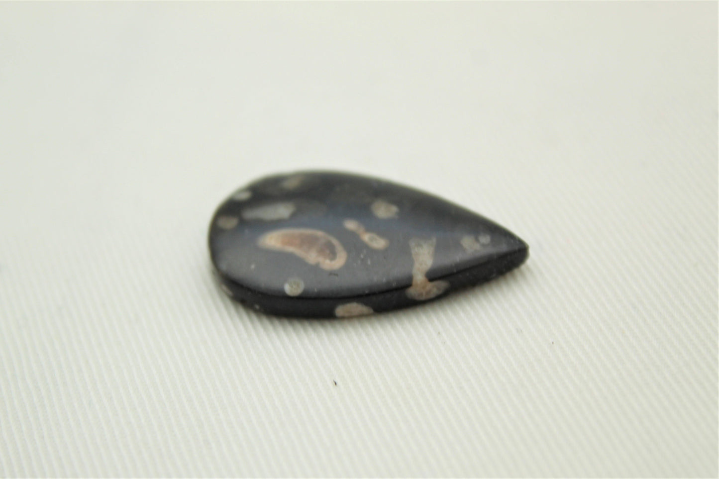 Indonesian Fossil Wood Cabochon Gemstone Teardrop black