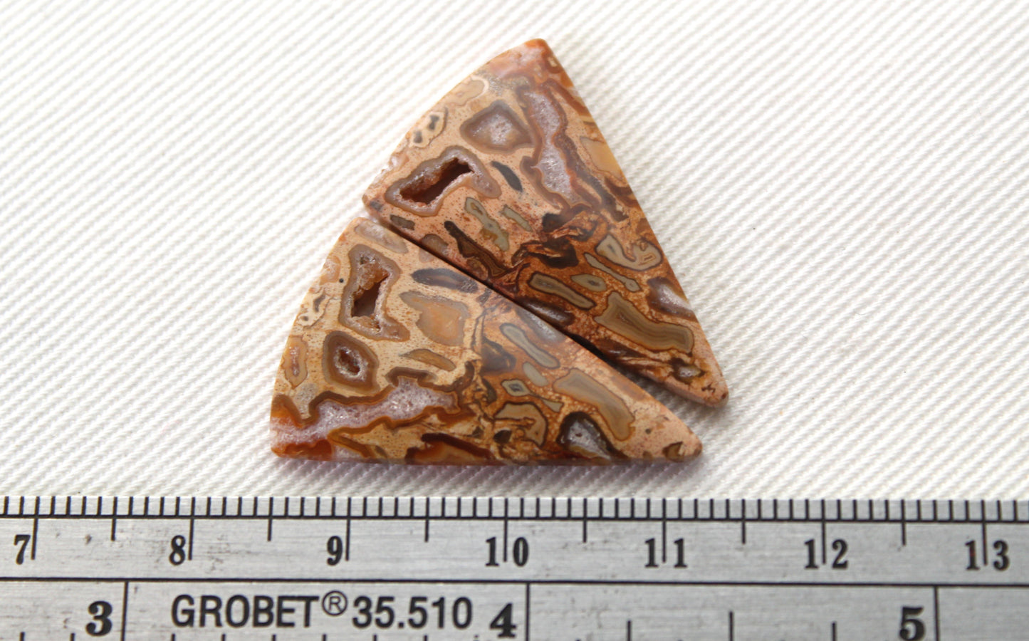 Fossil Palmwood Pair Cabochon Gemstone with druzy pockets