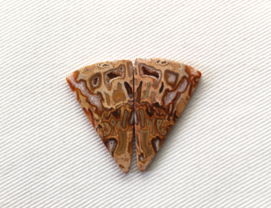 Fossil Palmwood Pair Cabochon Gemstone with druzy pockets