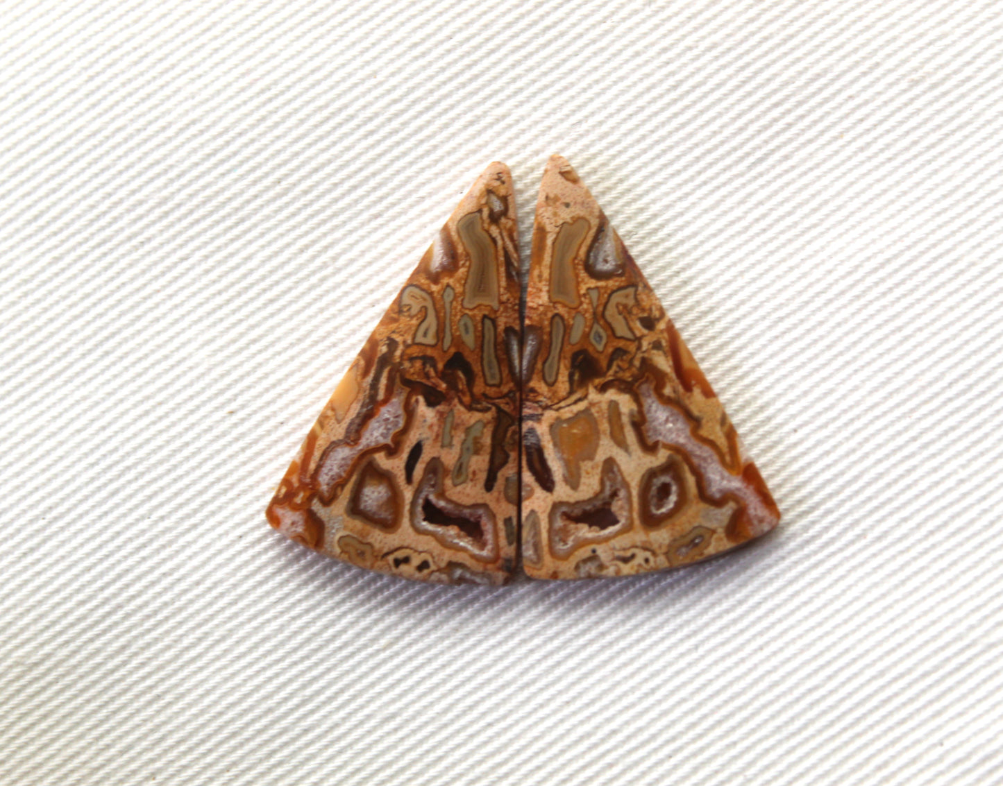 Fossil Palmwood Pair Cabochon Gemstone with druzy pockets