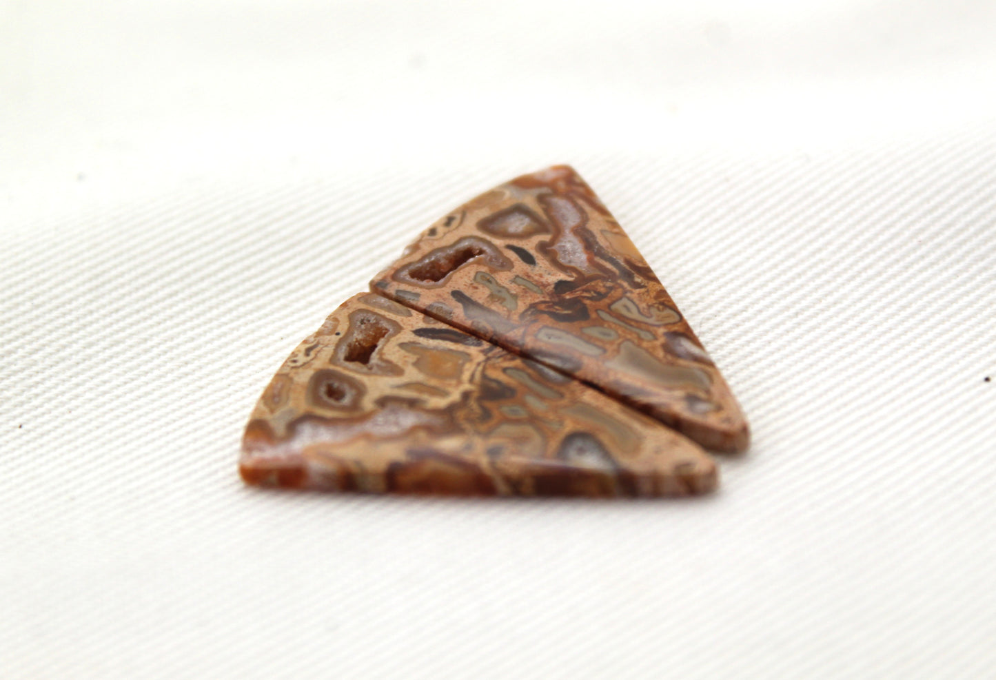 Fossil Palmwood Pair Cabochon Gemstone with druzy pockets