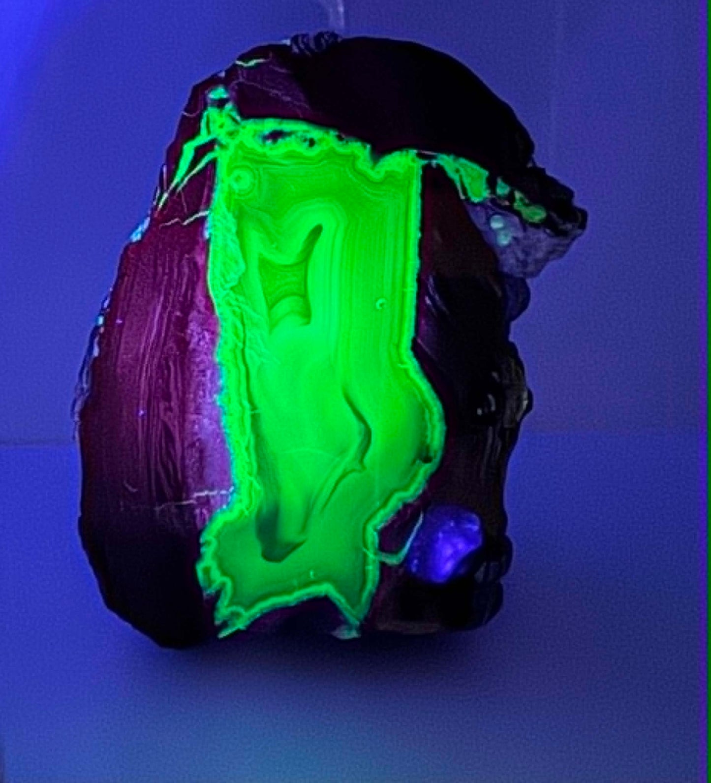 Thunder egg fluorescent Nodule polished Half nodule