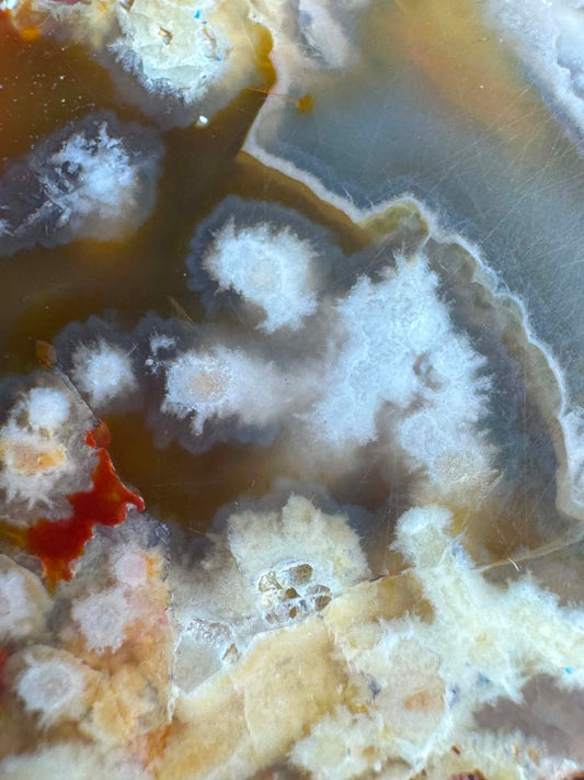 Indonesian Agate nodule polished sliced
