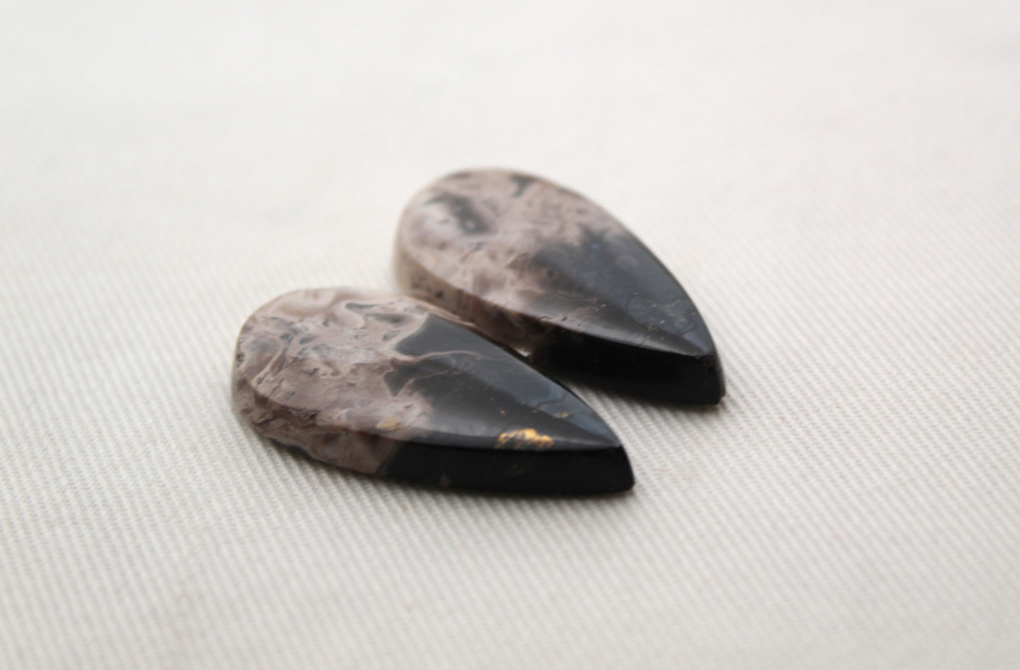 Petrified Palm Wood Cabochon Pair natural gemstones