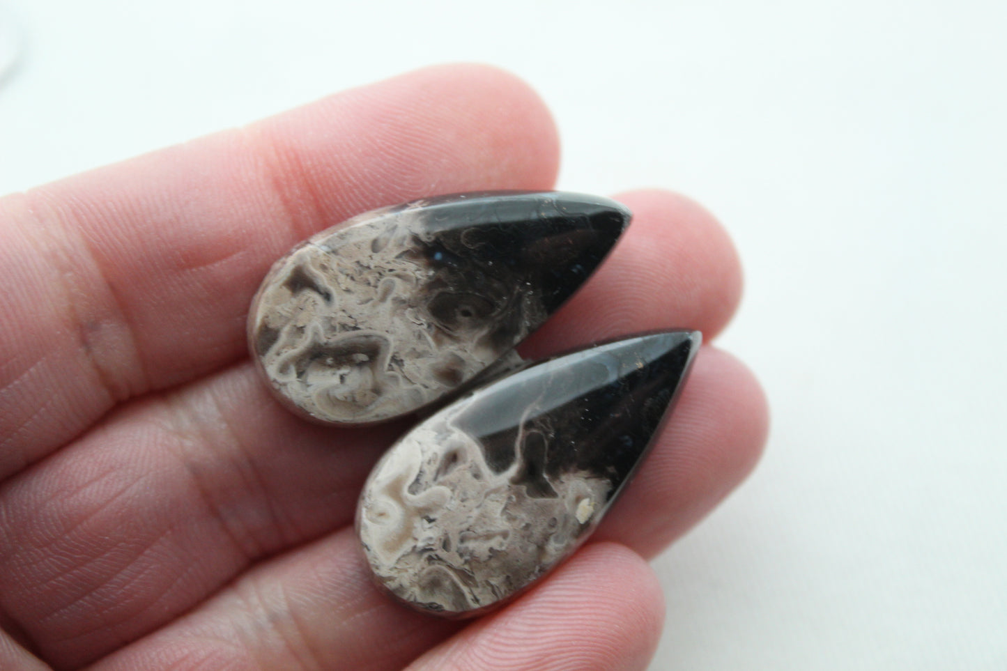 Petrified Palm Wood Cabochon Pair natural gemstones