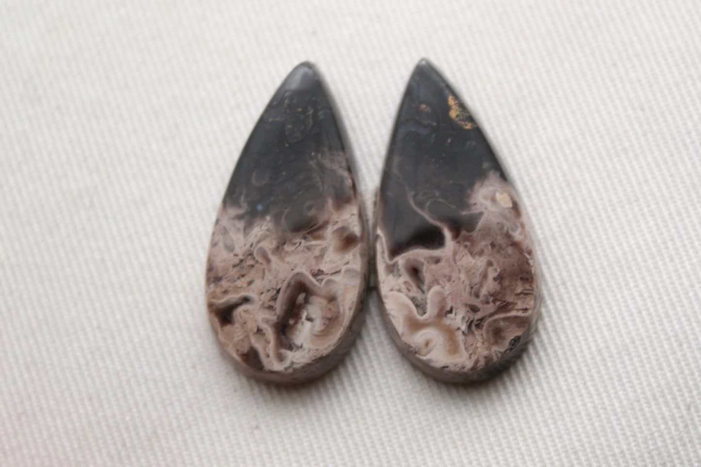 Petrified Palm Wood Cabochon Pair natural gemstones