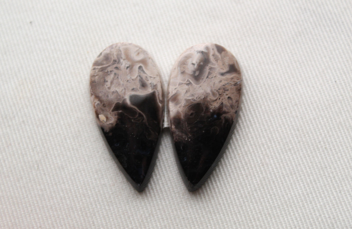 Petrified Palm Wood Cabochon Pair natural gemstones