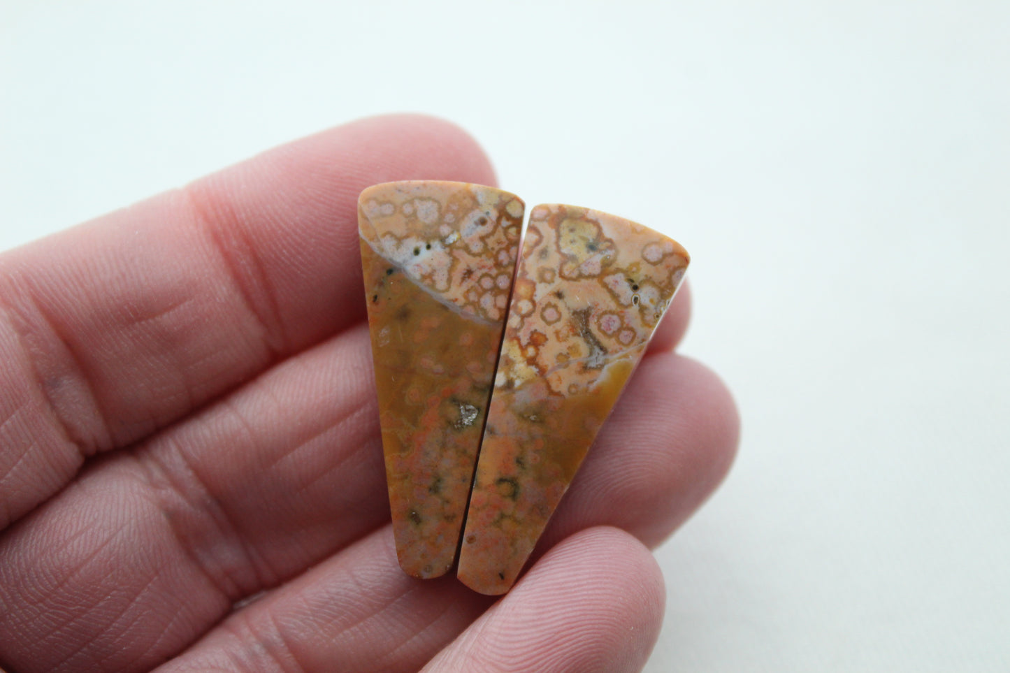 Multicolor River Jasper Pair Cabochon Gemstone