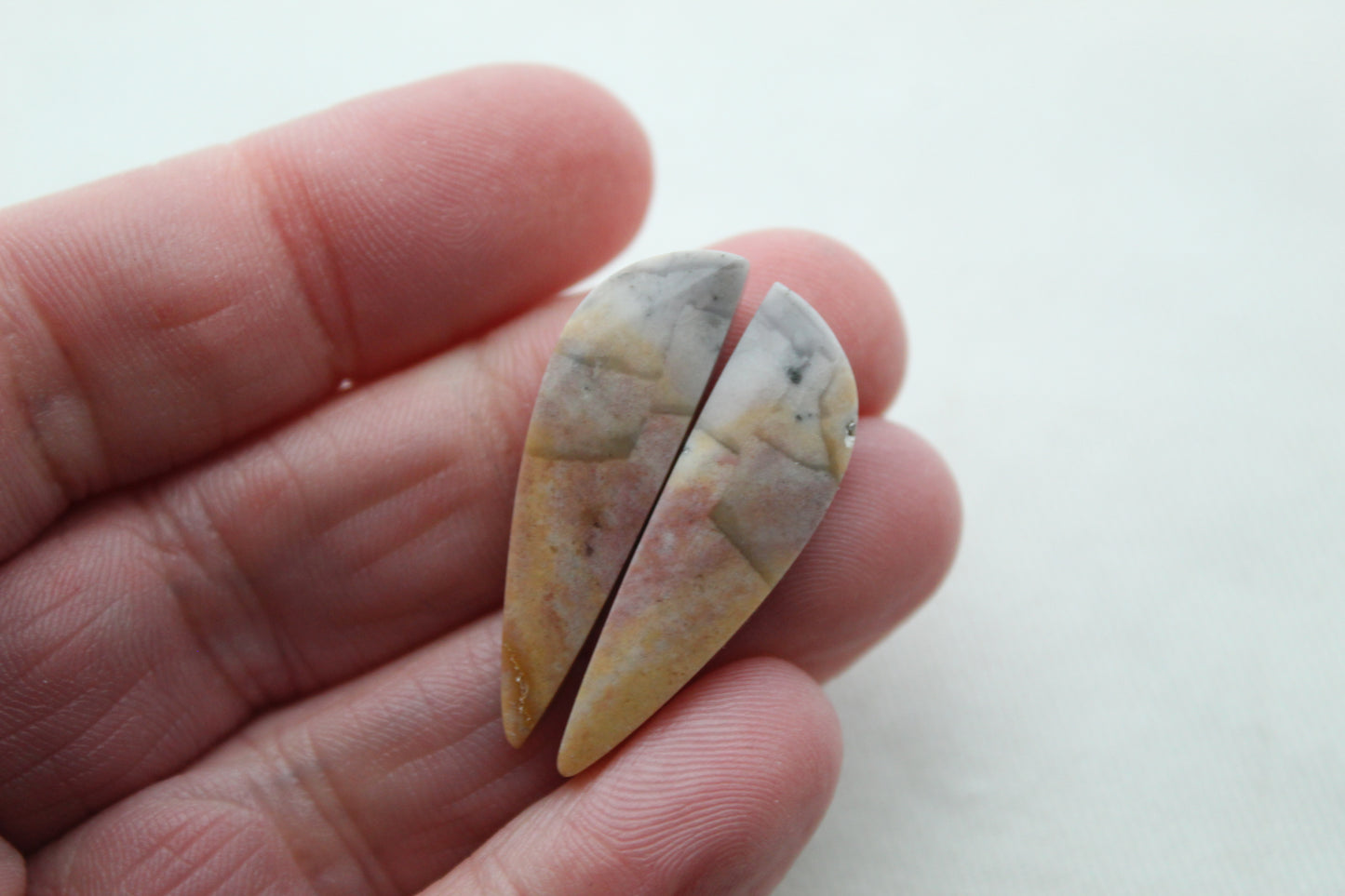 Pair of Indonesian Petrified wood Cabochons