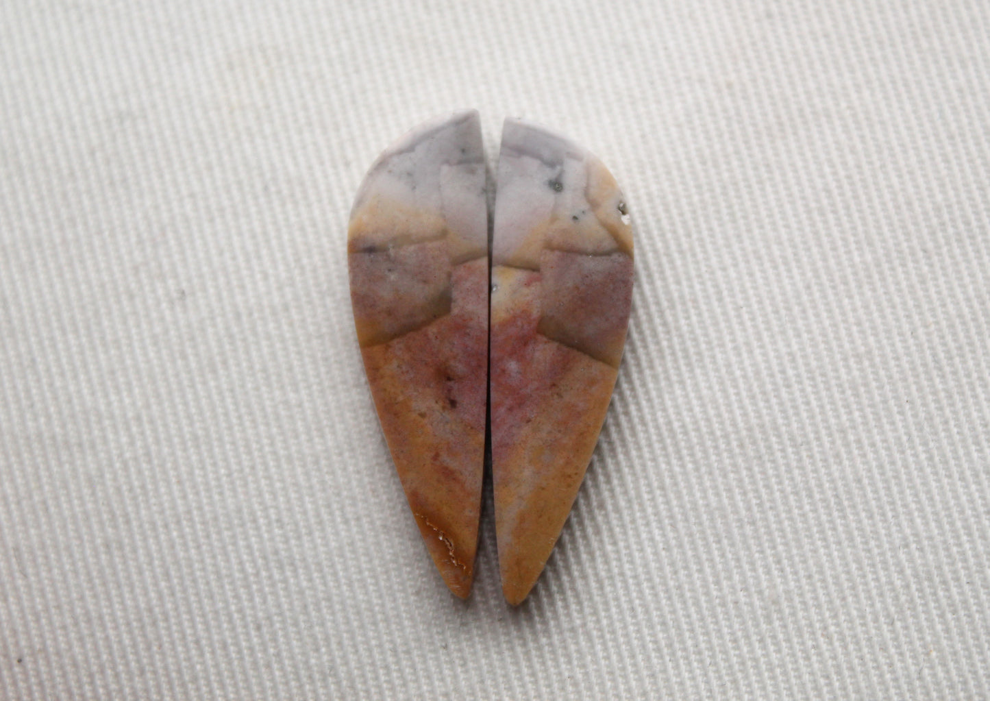 Pair of Indonesian Petrified wood Cabochons