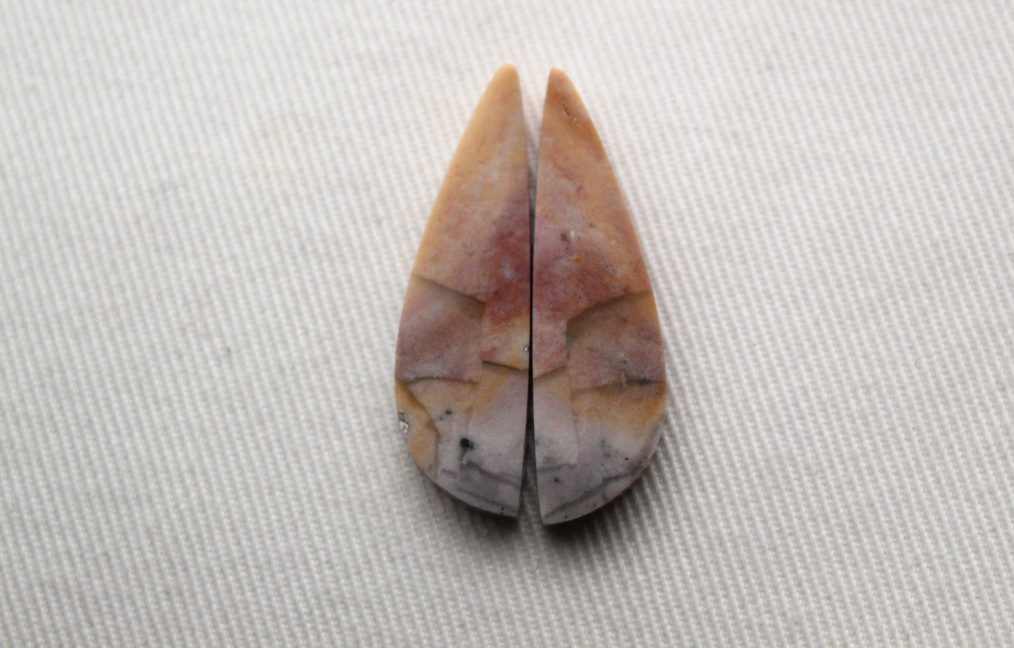 Pair of Indonesian Petrified wood Cabochons