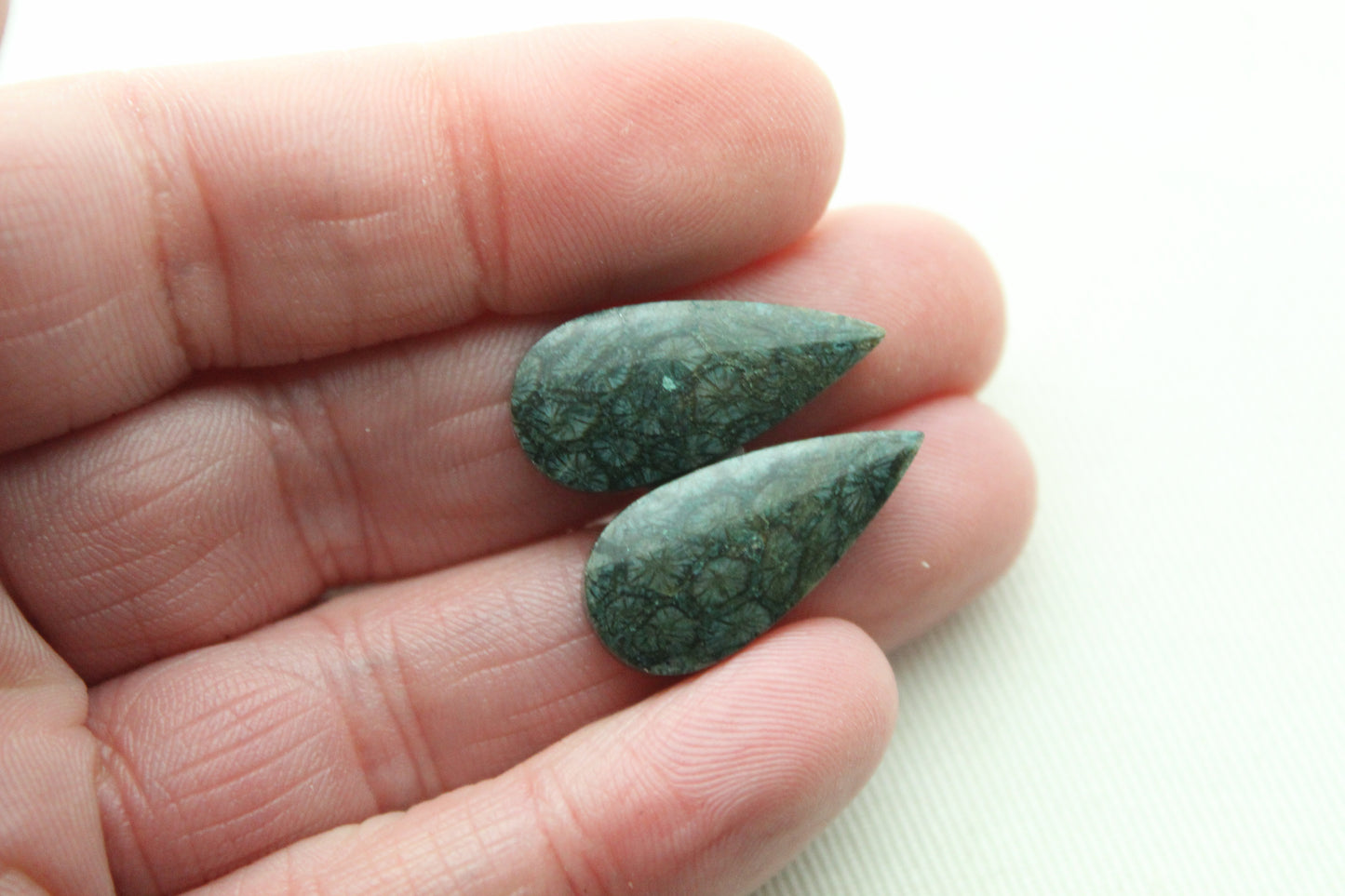 Small Fossil Coral Pair of Cabochons natural gemstones dark blue green