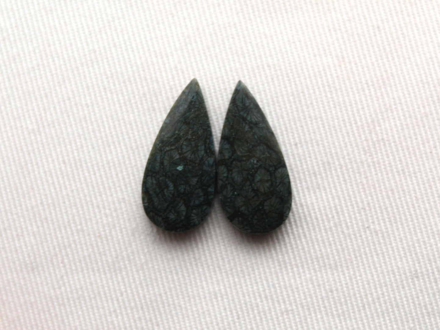 Small Fossil Coral Pair of Cabochons natural gemstones dark blue green