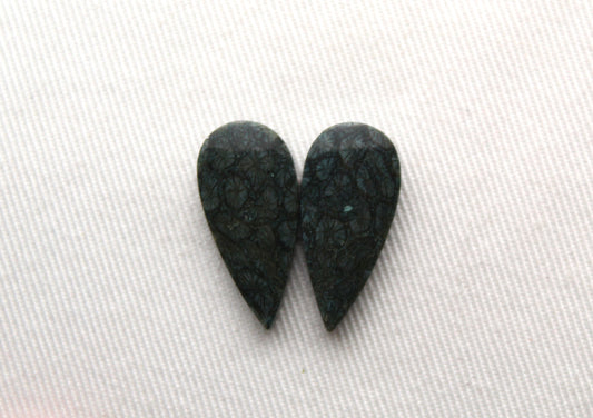 Small Fossil Coral Pair of Cabochons natural gemstones dark blue green